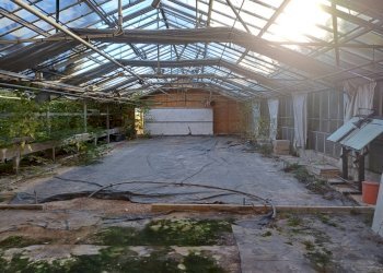 Foto 5 - Terreno agricolo via lenin
 
-, San Giuliano Terme - foto 5