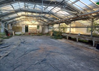 Foto 8 - Terreno agricolo via lenin
 
-, San Giuliano Terme - foto 8