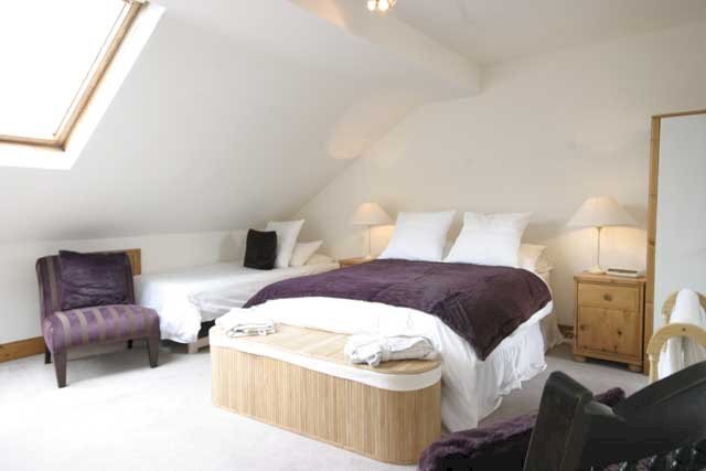 Foto 2 - Attività Commerciale Via Leonardo Da Vinci, Pisa - foto 2