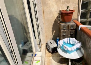 Foto 10 - Quadrilocale via della pace
 
1, Cascina - foto 9