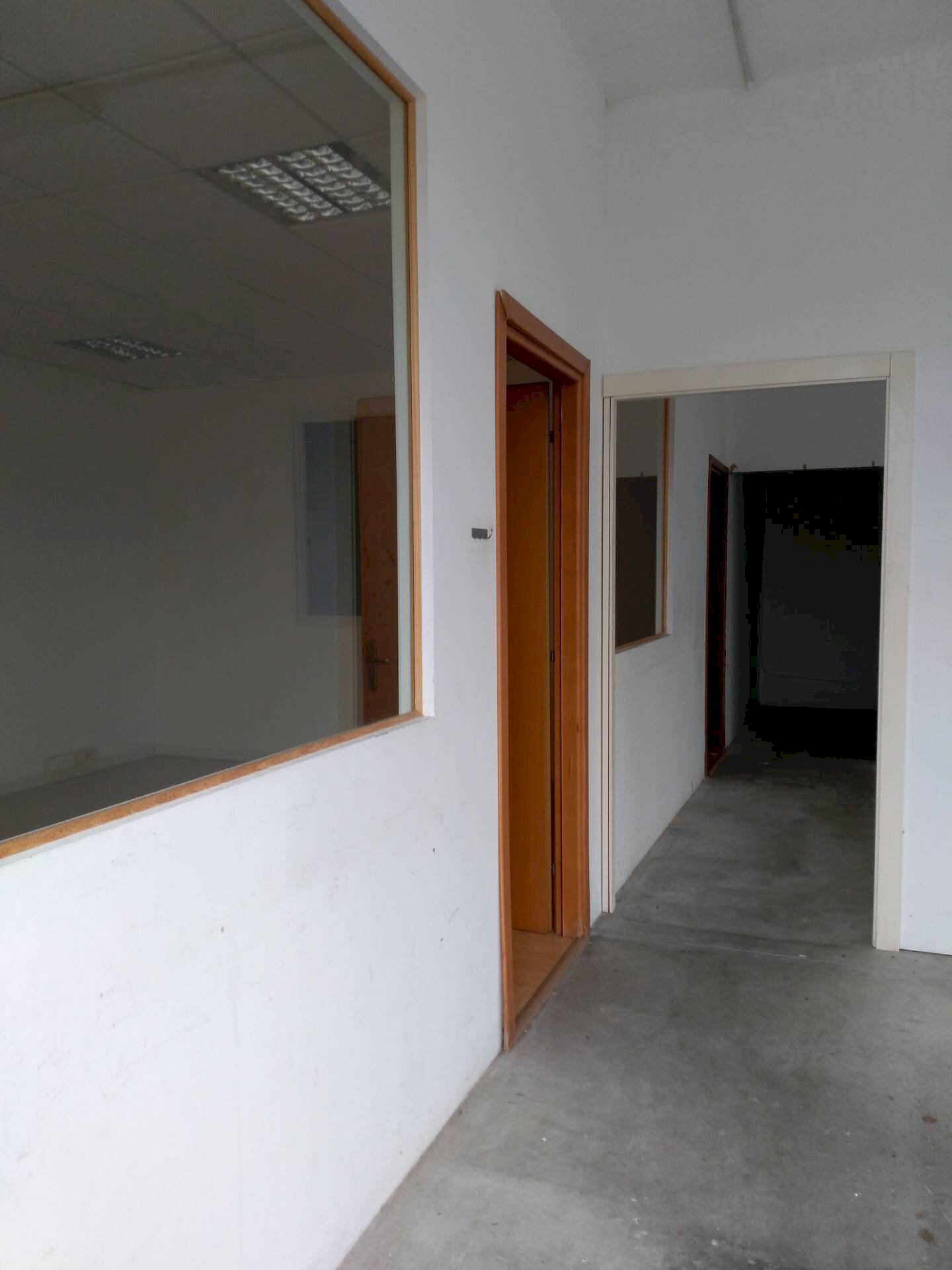 Foto 2 - Attività Commerciale via sterpulino
 
18, Pisa - foto 2