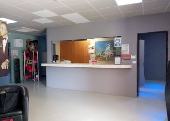 Foto 1 - Commercial Activity via livornese, Casciana Terme Lari - photo 1