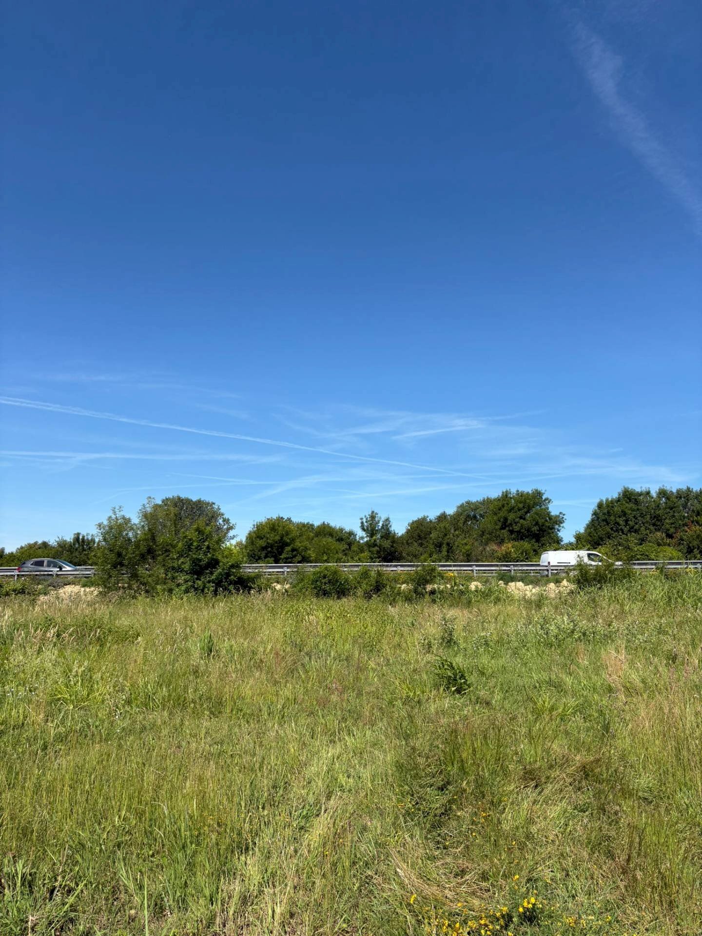 Foto 2 - Agricultural land Via Livornese
 
10, Pisa - photo 2