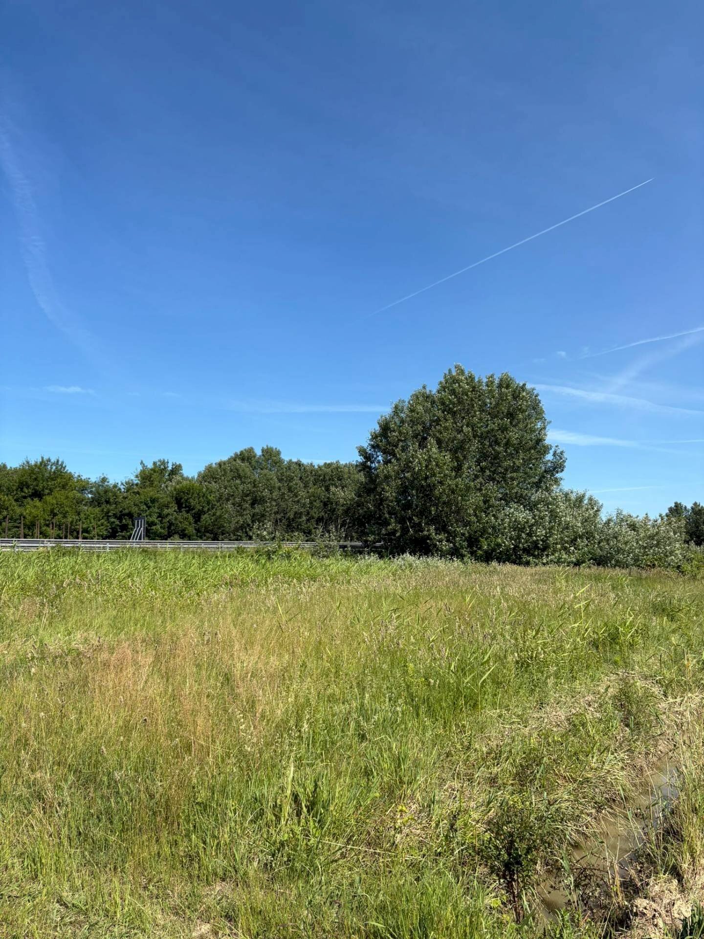 Foto 3 - Agricultural land Via Livornese
 
10, Pisa - photo 3