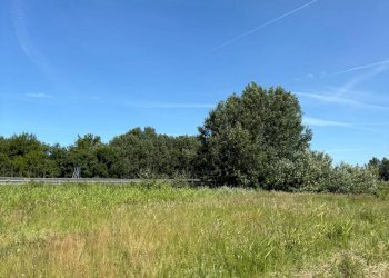 Foto 3 - Terreno agricolo Via Livornese
 
10, Pisa - foto 3