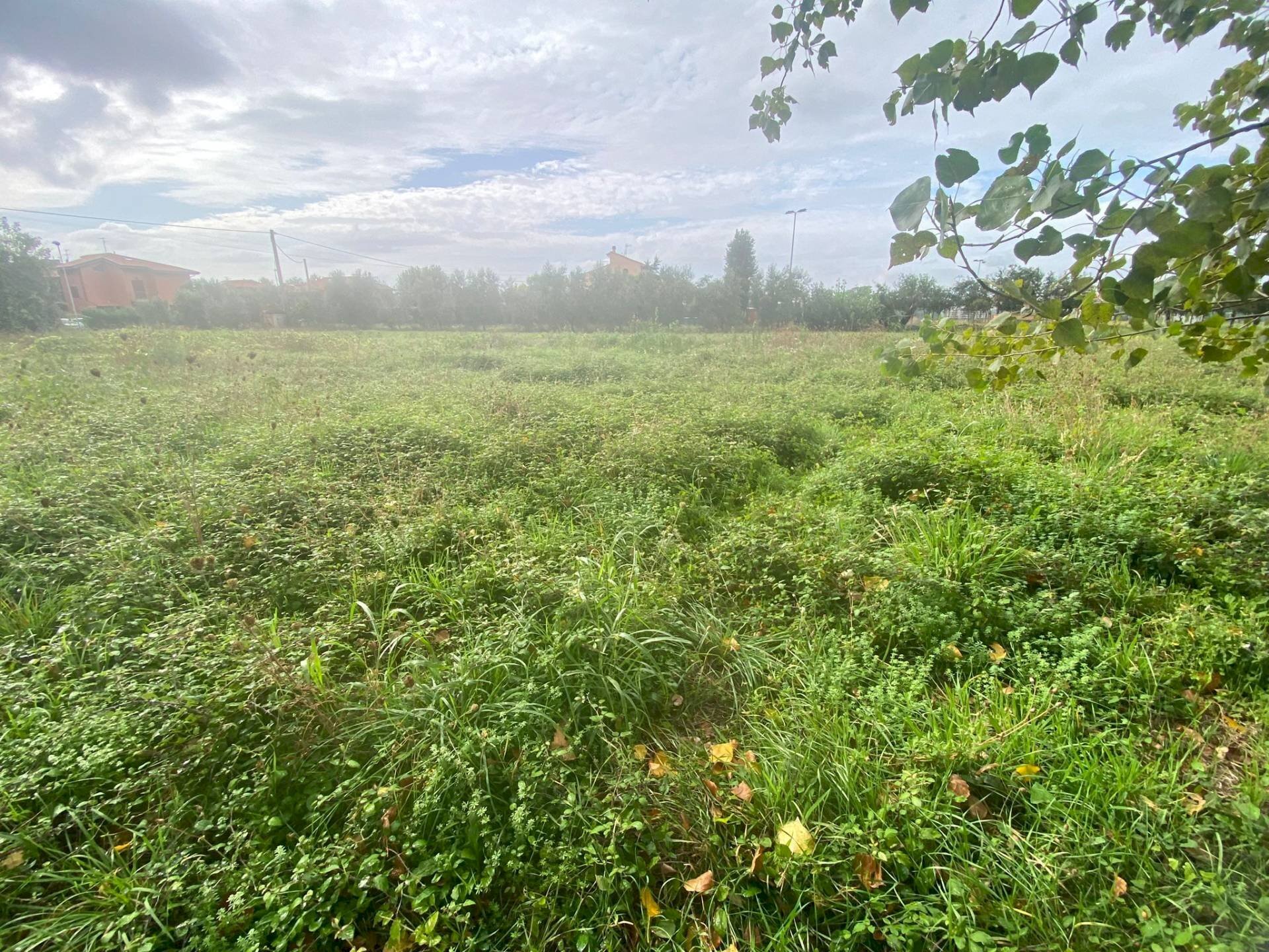 Foto 2 - Agricultural land via di mezzo sud
86, Cascina - photo 2