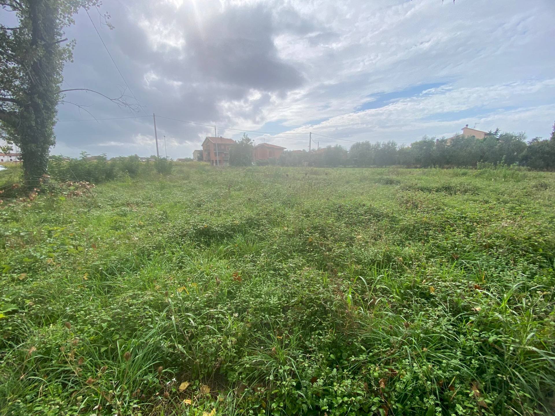 Foto 3 - Agricultural land via di mezzo sud
86, Cascina - photo 3