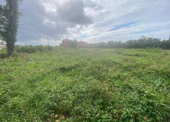 Foto 3 - Agricultural land via di mezzo sud
 
86, Cascina - photo 3