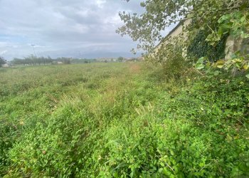 Foto 5 - Agricultural land via di mezzo sud
 
86, Cascina - photo 5