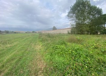 Foto 6 - Agricultural land via di mezzo sud
 
86, Cascina - photo 6