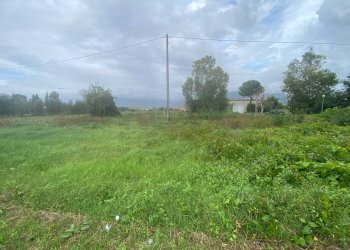 Foto 10 - Agricultural land via di mezzo sud
 
86, Cascina - photo 10