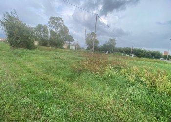 Foto 11 - Agricultural land via di mezzo sud
 
86, Cascina - photo 11