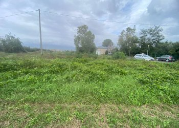 Foto 13 - Agricultural land via di mezzo sud
 
86, Cascina - photo 13