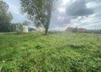 Foto 16 - Agricultural land via di mezzo sud
 
86, Cascina - photo 16