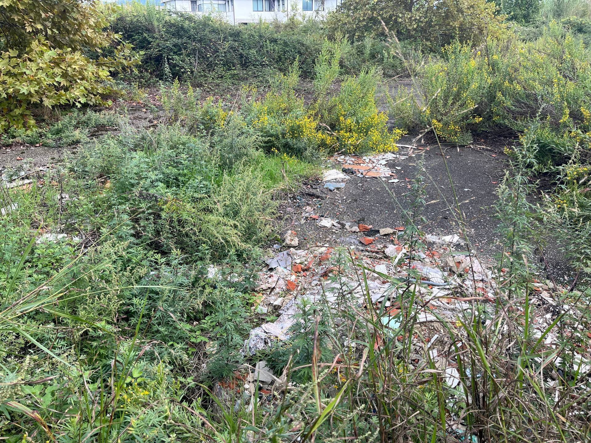 Foto 3 - Terreno agricolo via fiorentina, Pisa - foto 3