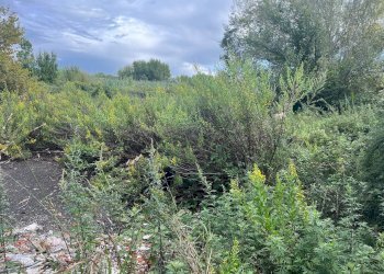 Foto 2 - Terreno agricolo via fiorentina, Pisa - foto 2