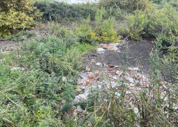 Foto 3 - Terreno agricolo via fiorentina, Pisa - foto 3