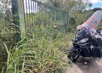 Foto 4 - Terreno agricolo via fiorentina, Pisa - foto 4