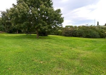 Foto 12 - Casa indipendente VIA VERDI
 
1, San Giuliano Terme - foto 12