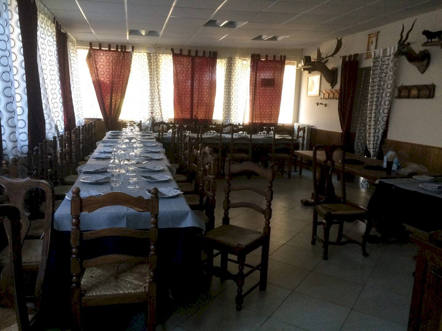 Foto 1 - Attività Commerciale Viale Del Tirreno
 
12, Pisa - foto 1