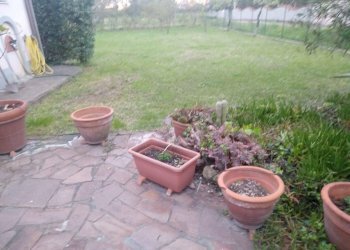 Foto 10 - Casa indipendente Via Isola Di Capraia
 
100, Pisa - foto 10