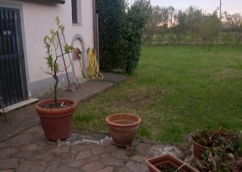 Foto 11 - Casa indipendente Via Isola Di Capraia
 
100, Pisa - foto 11