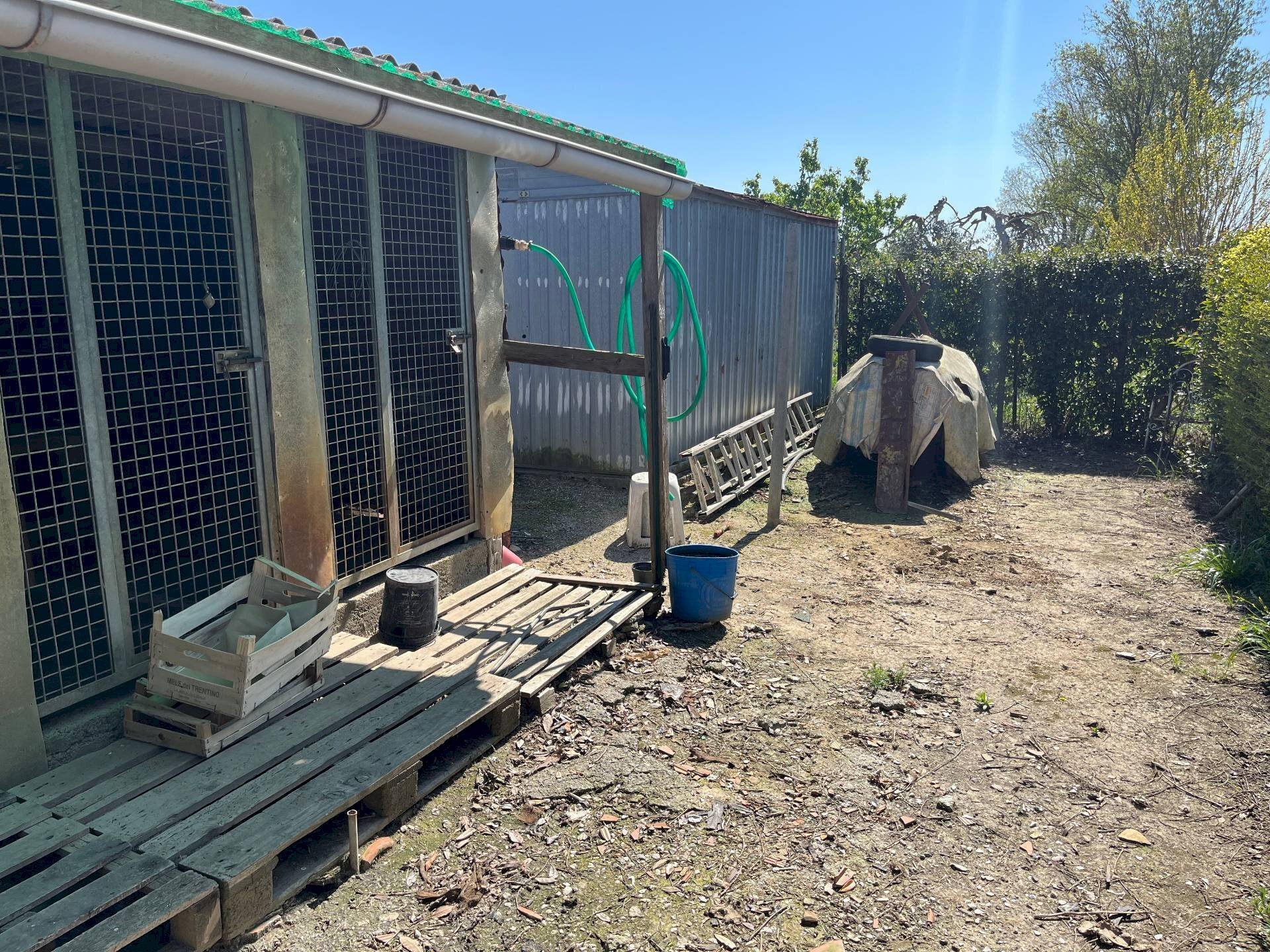 Foto 2 - Agricultural land via profeti
12, Cascina - photo 2