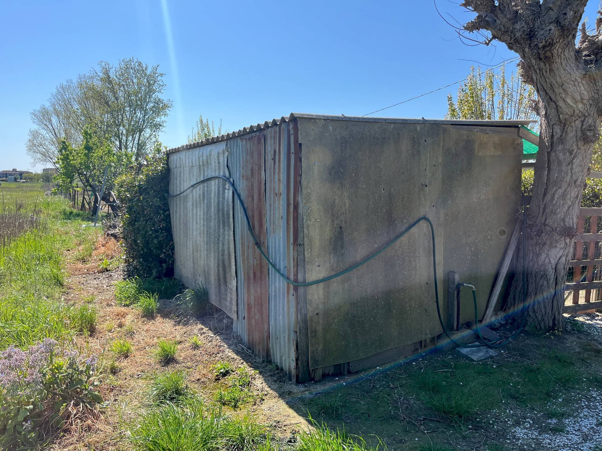 Foto 3 - Agricultural land via profeti
12, Cascina - photo 3