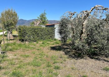 Foto 1 - Agricultural land via profeti
 
12, Cascina - photo 1