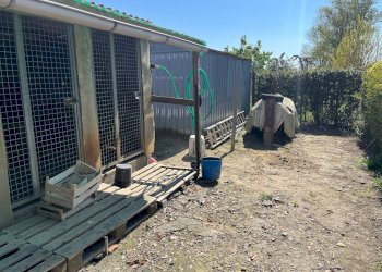 Foto 2 - Agricultural land via profeti
 
12, Cascina - photo 2