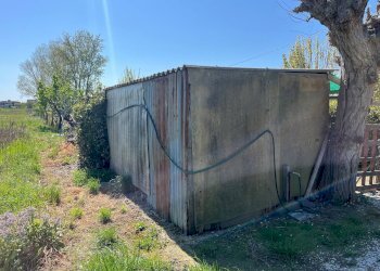 Foto 3 - Agricultural land via profeti
 
12, Cascina - photo 3