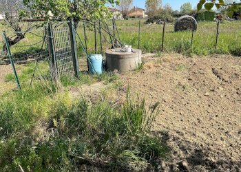 Foto 4 - Agricultural land via profeti
 
12, Cascina - photo 4