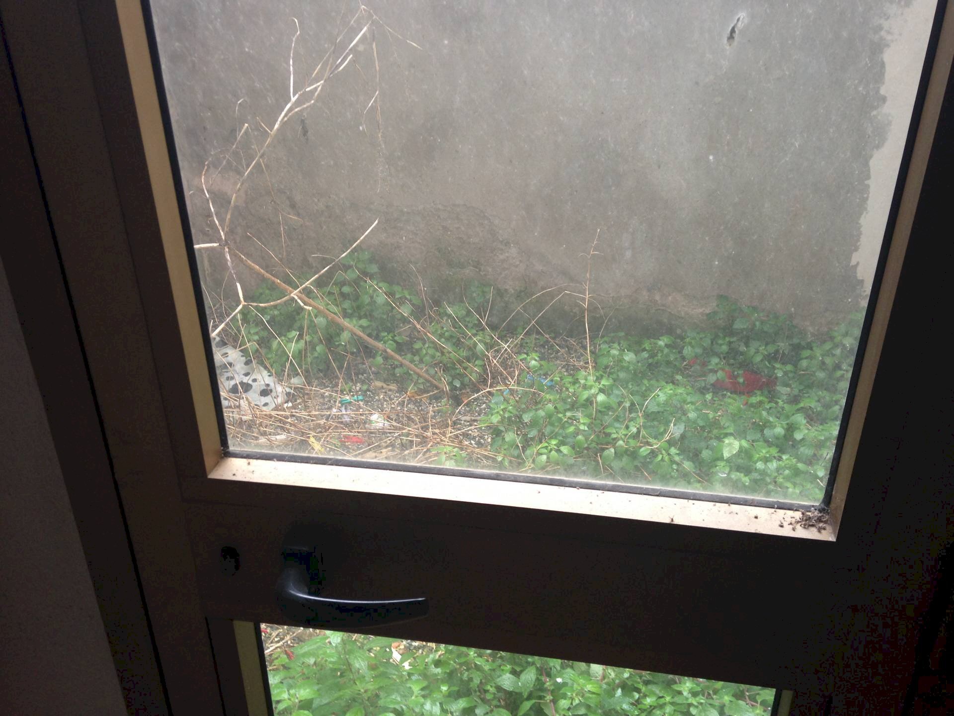 Foto 3 - Commercial Activity Via Nicola Tacchinardi
3, Livorno - photo 3