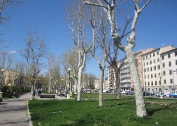 Foto 2 - Commercial Activity Corso Giuseppe Mazzini, Livorno - photo 2