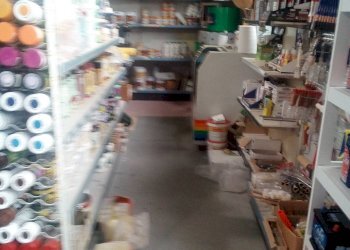 Foto 3 - Attività Commerciale Via Delle Padule, Crespina Lorenzana - foto 3