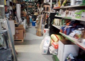 Foto 12 - Attività Commerciale Via Delle Padule, Crespina Lorenzana - foto 12