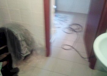 Foto 20 - Attività Commerciale Via Delle Padule, Crespina Lorenzana - foto 20