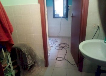 Foto 21 - Attività Commerciale Via Delle Padule, Crespina Lorenzana - foto 21