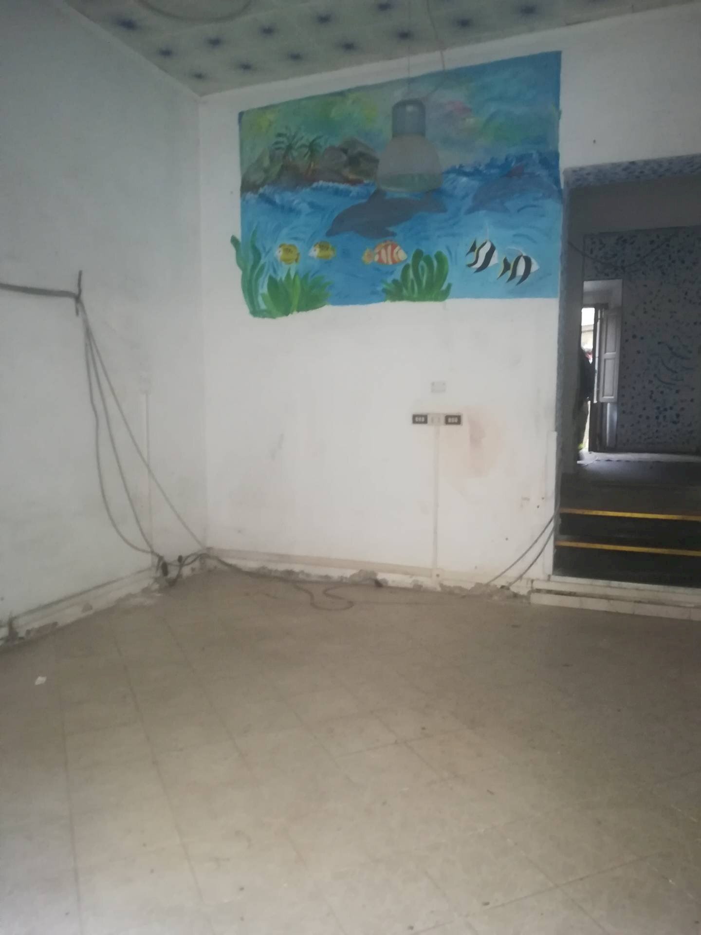 Foto 1 - Attività Commerciale Corso Giuseppe Mazzini
 
105, Livorno - foto 1