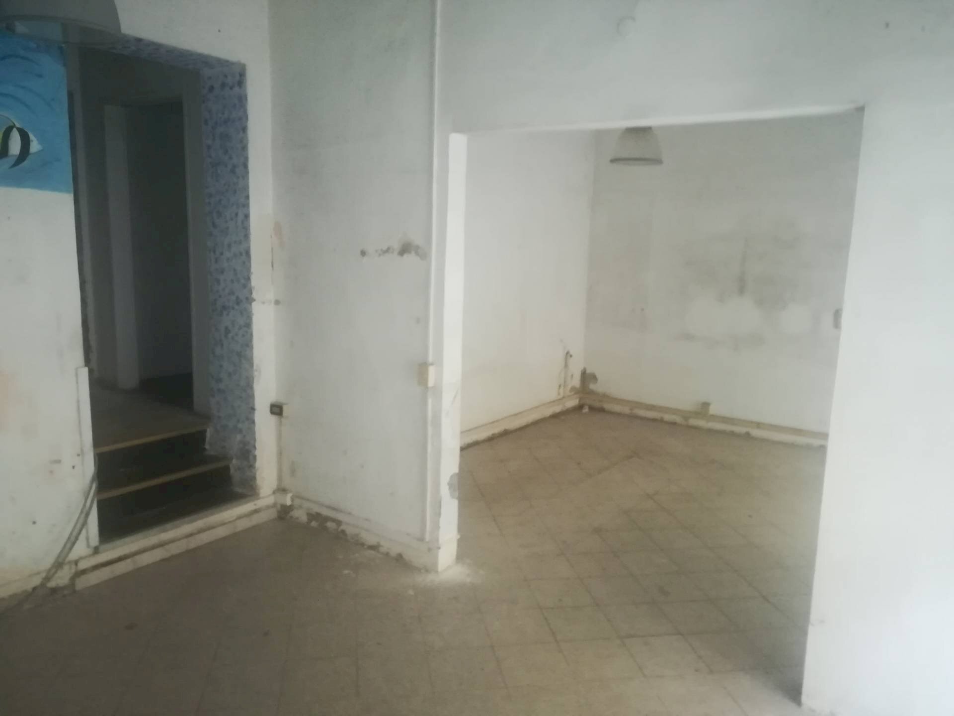 Foto 3 - Attività Commerciale Corso Giuseppe Mazzini
 
105, Livorno - foto 3