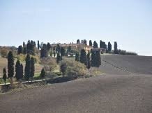 Foto 2 - Commercial Activity Via Roma, Collesalvetti - photo 2