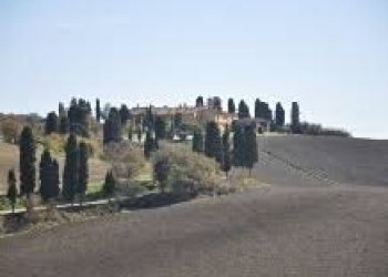 Foto 2 - Commercial Activity Via Roma, Collesalvetti - photo 2