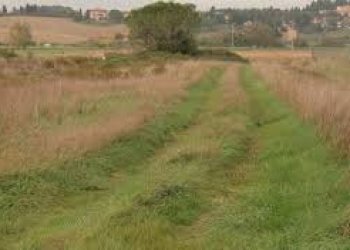 Foto 5 - Commercial Activity Via Roma, Collesalvetti - photo 5