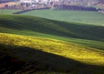 Foto 7 - Commercial Activity Via Roma, Collesalvetti - photo 7