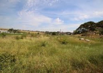 Foto 10 - Commercial Activity Via Roma, Collesalvetti - photo 10