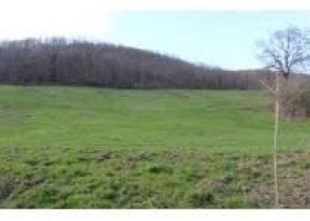 Foto 11 - Commercial Activity Via Roma, Collesalvetti - photo 11