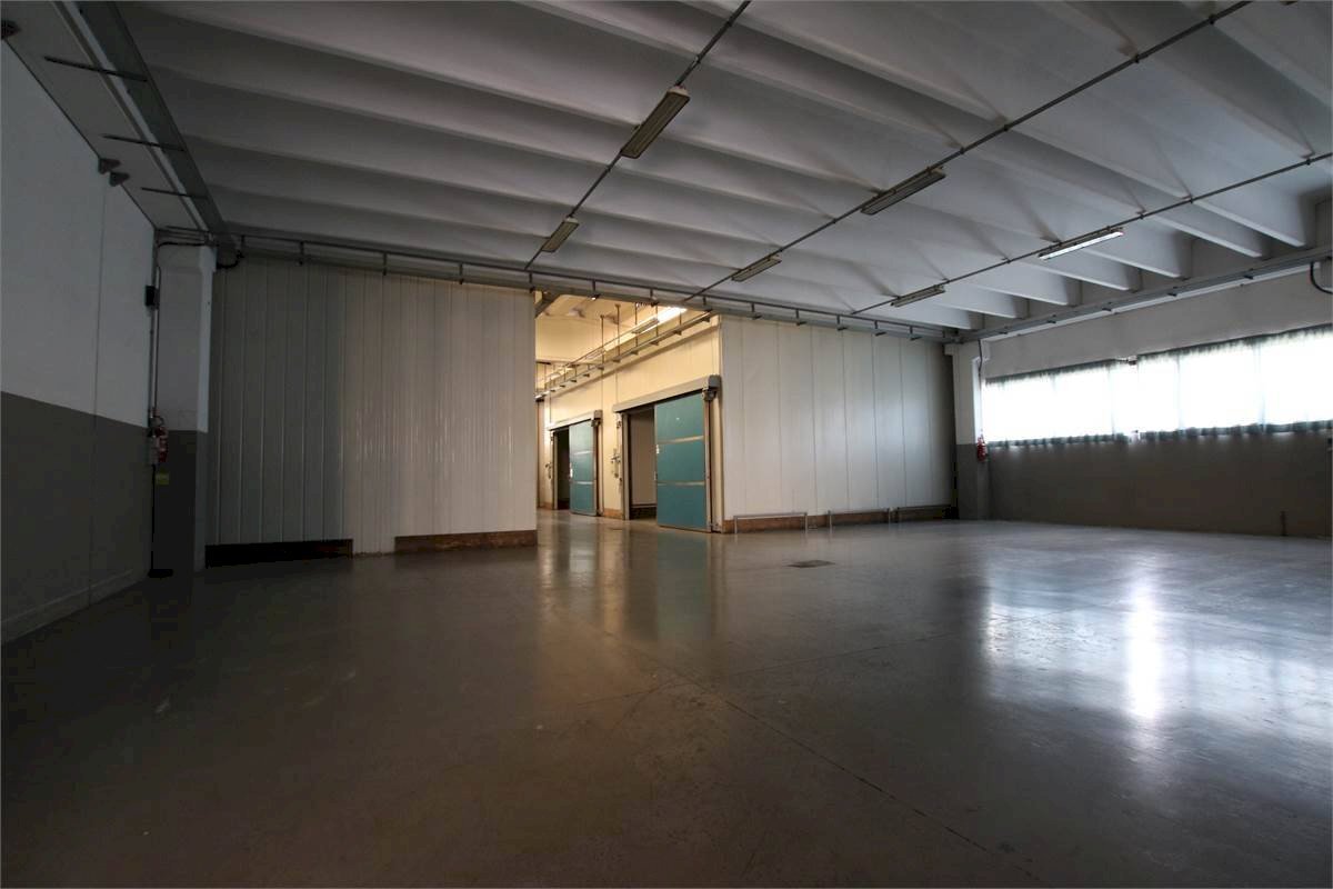 Foto 2 - Attività Commerciale Strada provinciale
 
55, Fauglia - foto 2