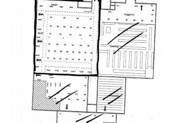 Foto 1 - Commercial Activity Strada provinciale
 
55, Fauglia - photo 1
