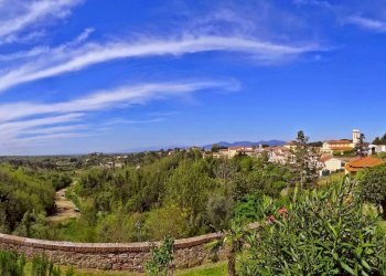 Foto 4 - Commercial Activity Strada provinciale
 
55, Fauglia - photo 4