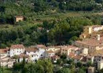 Foto 5 - Commercial Activity Strada provinciale
 
55, Fauglia - photo 5